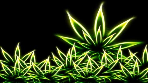 🔥 [50+] Marijuana Wallpapers | WallpaperSafari