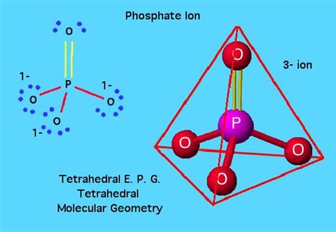 Phosphates: Uses, Function, Dangers - SchoolWorkHelper