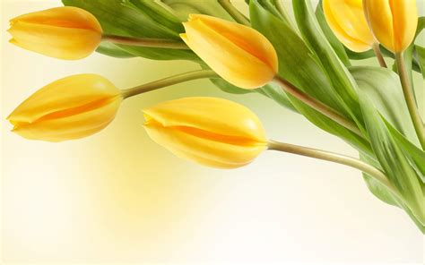 Yellow Flowers Wallpapers - Wallpaper Cave