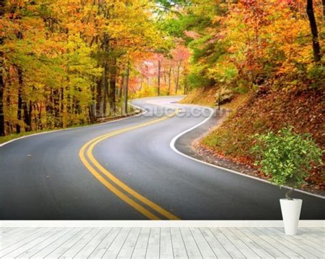 Winding Road Wallpaper Wall Mural | Wallsauce USA