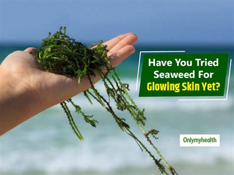 Sea Algae Benefits Skin