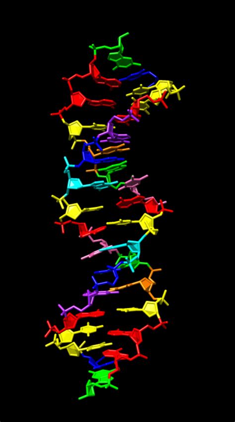 Doubling the building blocks for DNA | National Institutes of Health (NIH)