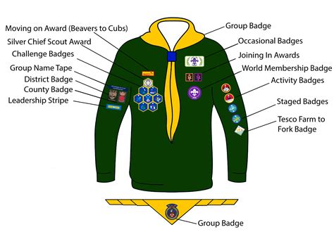 Cub Uniform & Badges | 1st Buglawton Scout Group