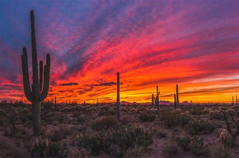 Sonoran Desert Sunset [OC] [2500x1667] | Desert sunset, Desert sunset ...