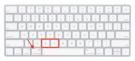 How to Copy and Paste on a Mac - MacRumors