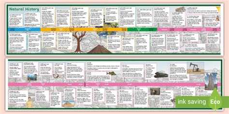 History Timeline Poster