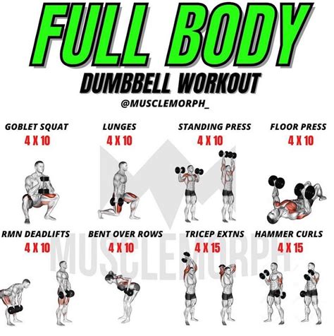 MuscleMorph - FULL BODY DUMBBELL WORKOUT By MuscleMorph®