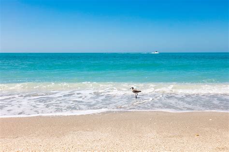 9 Best Beaches on Sanibel Captiva Island - Check Out the Top Beach ...