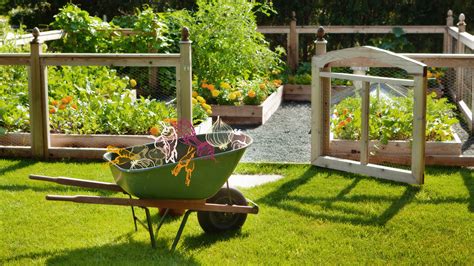 16 Backyard Vegetable Garden Ideas for Beginners | Architectural Digest ...