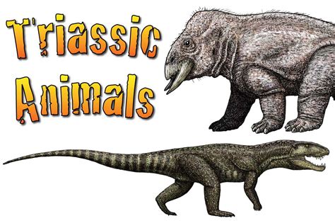 Triassic Animals – Discover The Animals That Lived In The Triassic Period