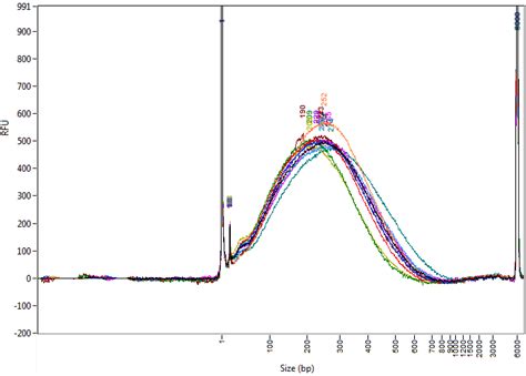 Chromatin Shearing / DNA Shearing | Qsonica