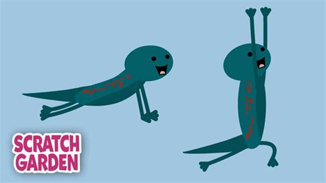 Salamander Yoga - Now with Tiny Flying Alligators! | 5-minute Yoga ...