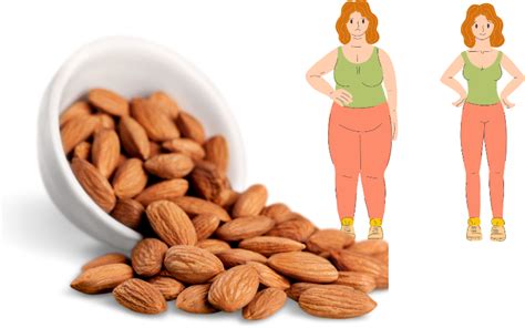 Are Almond Nuts Good for Weight Loss - jty02.com