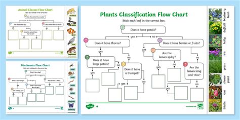 Living Things Classification Year 6 Pack (teacher made)