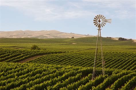 California Wine Country - Photograph America