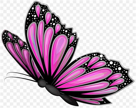 Butterfly Pink Clip Art, PNG, 8000x6390px, Butterfly, Black And White ...