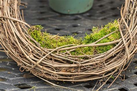 Living Floral Grapevine Wreath to Adorn Your Front Door for Spring