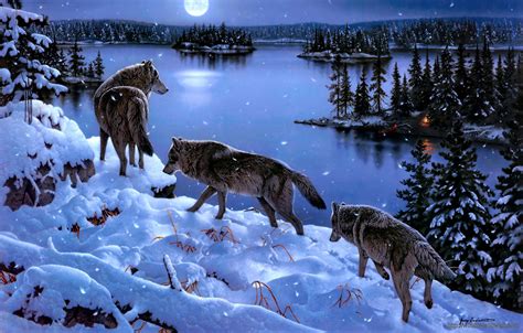 Wolf Winter Wallpaper - windows 10 Wallpapers