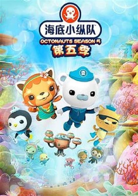 The Octonauts Season 5 - watch episodes streaming online