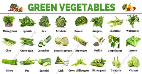 Green Vegetables: List of 31 Types of Vegetables that Have Green Color ...