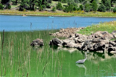 Campgrounds near Kaibab National Forest, Arizona | REI Camping Project