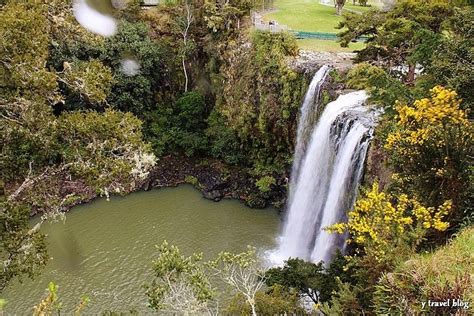 Whangarei Falls, New Zealand - The Most Photogenic in NZ