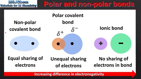 Difference between polar and nonpolar examples