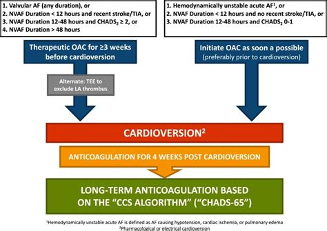 Atrial Fibrillation - Cardio Guide