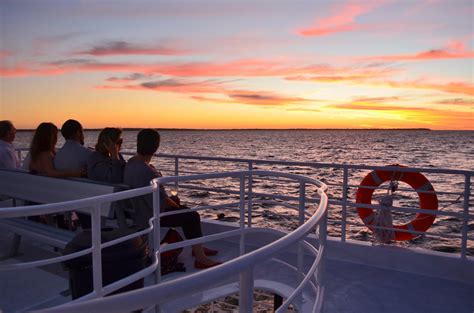 Hervey Bay Sunset Cruise - Whalesong Cruises Hervey Bay Reservations