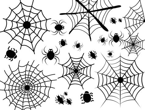 Spider Web Vector Art, Icons, and Graphics for Free Download