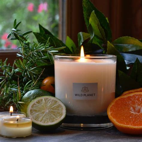 mood boost luxury aromatherapy candle by wild planet ...