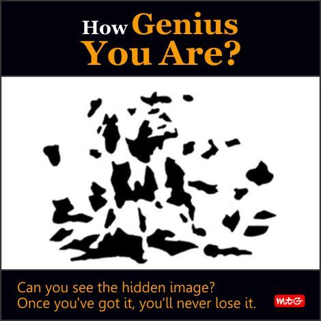 Optical Illusions Brain Teasers Puzzles