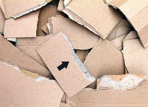 Cardboard Recycling in Singapore | Good For The Economy & Environment