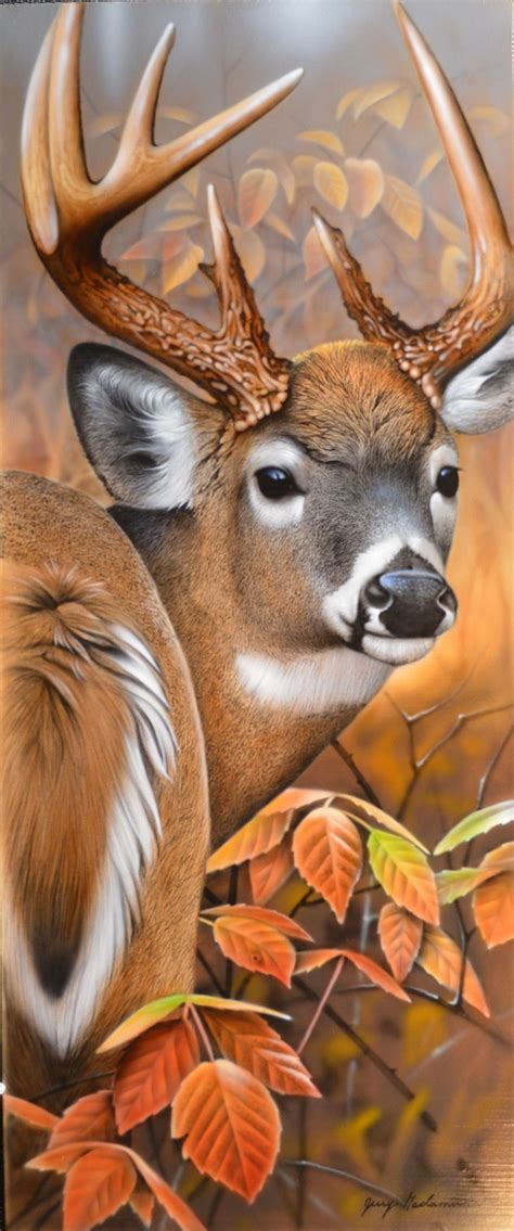 Jerry Gadamus | Animal paintings, Deer painting, Deer drawing