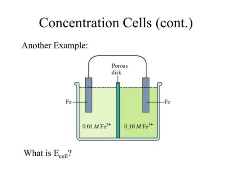 PPT - Lecture 13: The Nernst Equation PowerPoint Presentation - ID:6787763