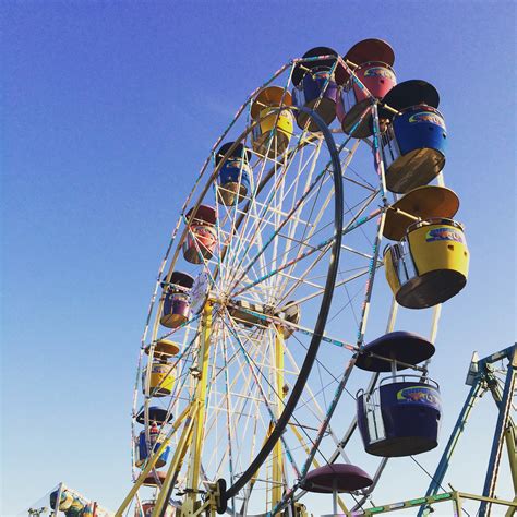 Middle grade research, or How I overcame my fear of heights/amusement ...