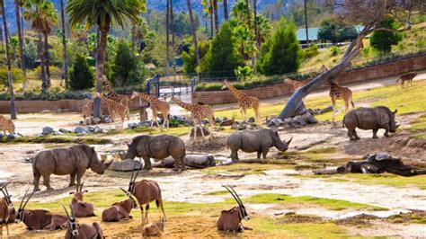 San Diego Zoo Safari Park | Club WyndhamClub Wyndham