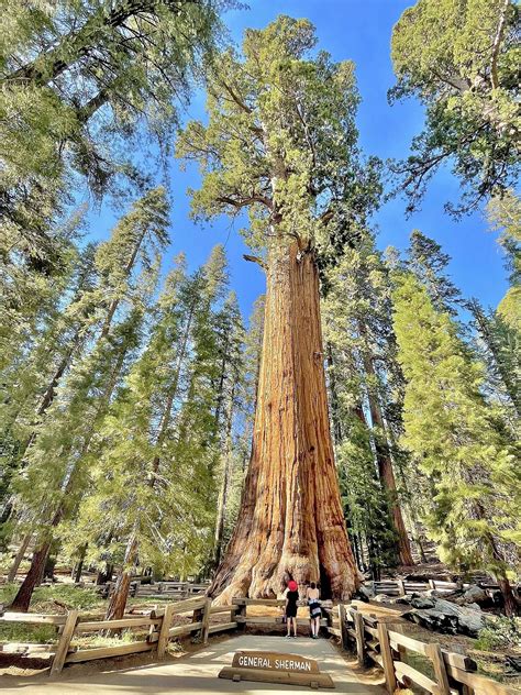 Sequoia National Park — Wikipedia Republished // WIKI 2