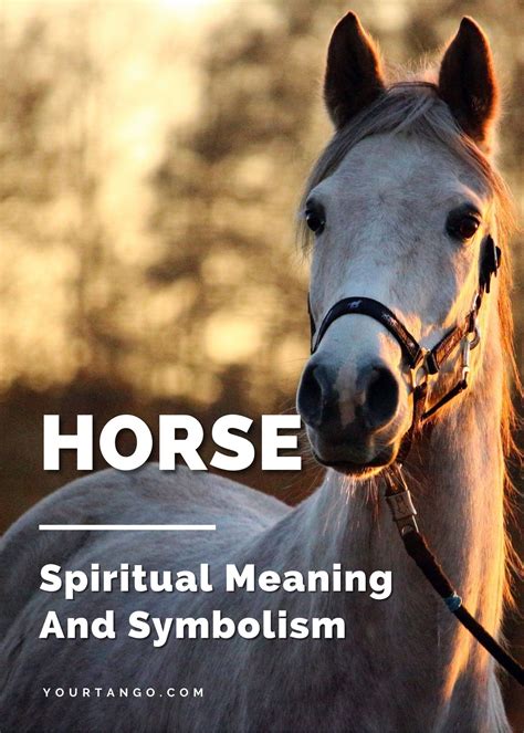 Horse Spirit Animal, Animal Spirit Guides, Your Spirit Animal, Animal ...