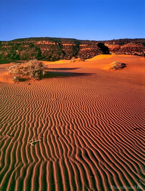 Coral Pink Sand Dunes photo spot, Kanab