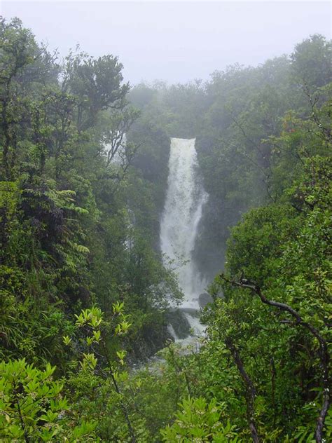 The Hana Highway Waterfalls - A Complete Road Guide