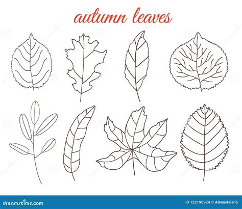 Autumn Leaves Line Art Set, Isolated on White Background. Simple ...