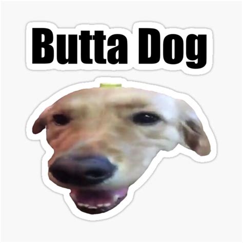 Butter Dog Meme | ubicaciondepersonas.cdmx.gob.mx