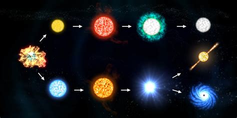 The Life Cycle of Stars: From Birth to Red Giants