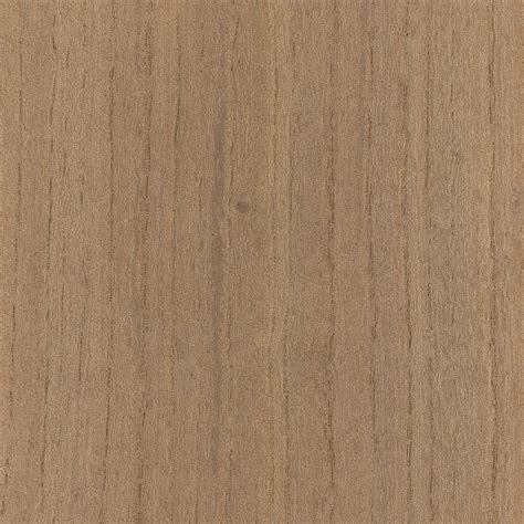 English Elm | The Wood Database (Hardwood)