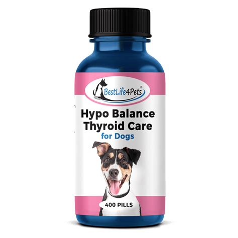 Natural Thyroid Remedy for Dogs with Hypothyroidism // BestLife4Pets