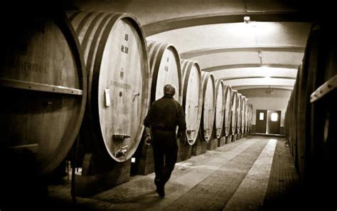 Barolo - A Guide To Barolo Red Wines From Italy | Wine 101