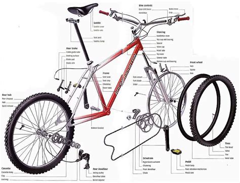 Bite & Bike: Mountain Bike Component