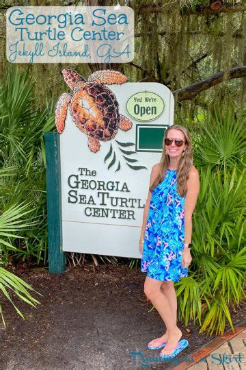 Georgia Sea Turtle Center Jekyll Island Visitors Guide « Running in a Skirt