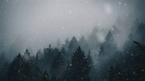 🔥 Free Download Animated Forest Snow For Wallpaper Engine 4k by ...